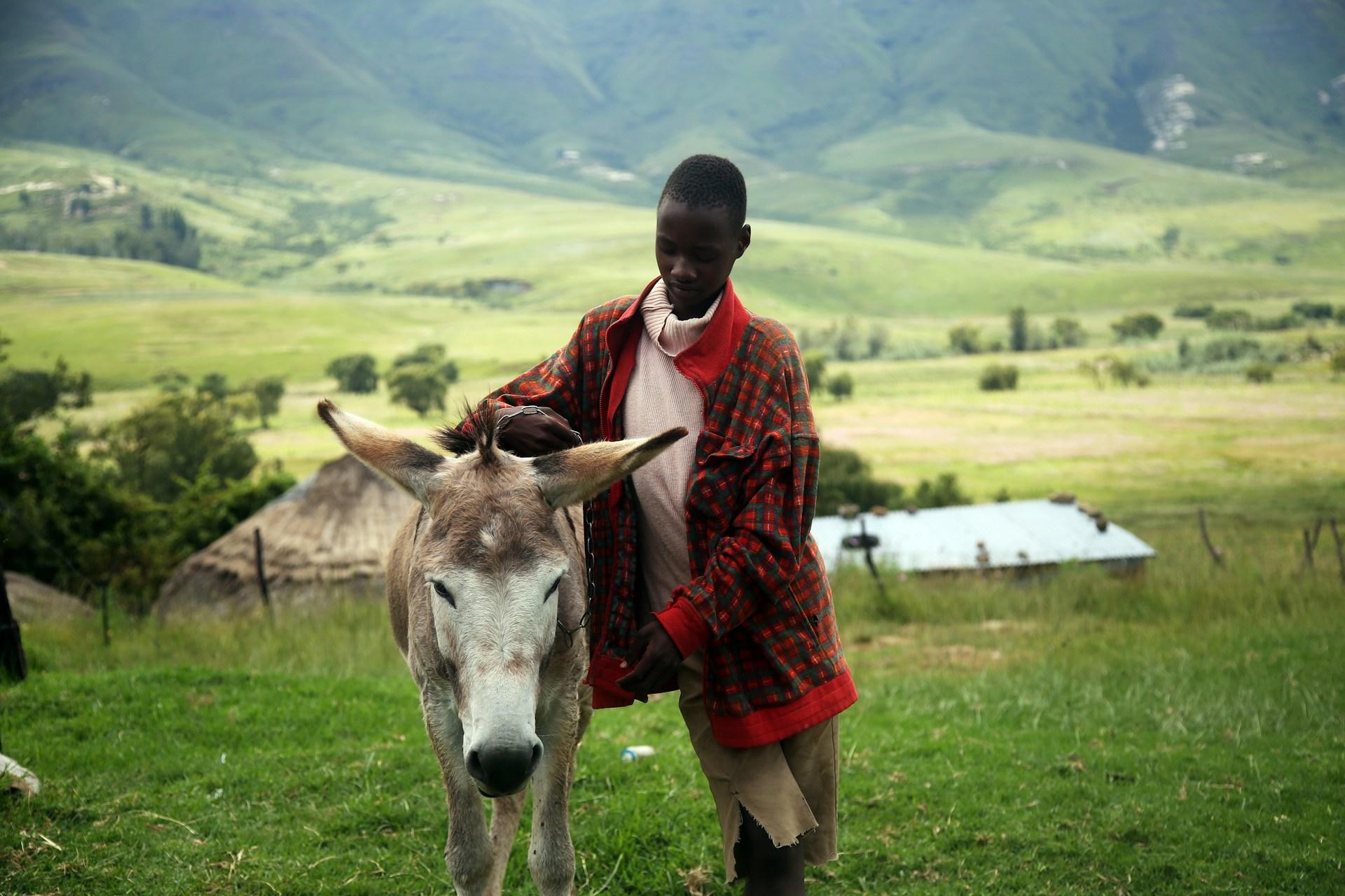 Driving in Lesotho